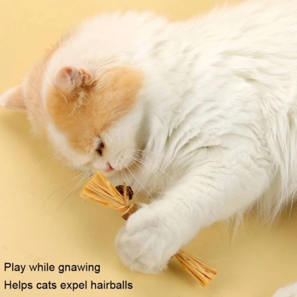 Teething Stick Toy for Cats