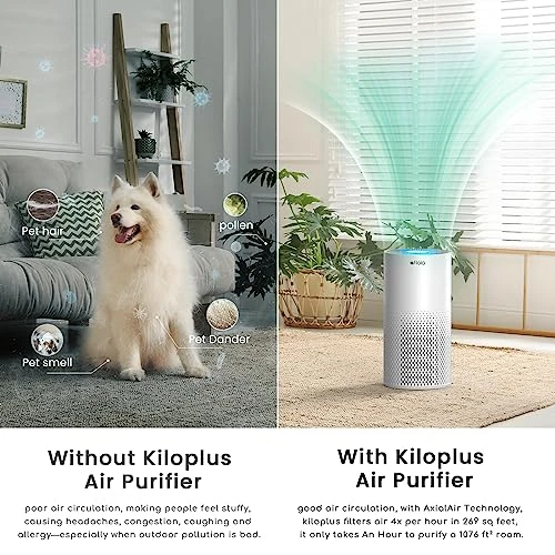 Smart WiFi Air Purifier for Large Rooms — Air Purifier, Afloia