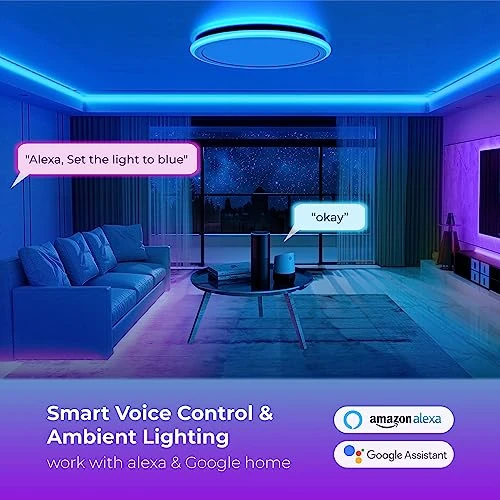Smart RGB LED Flush Mount Ceiling Light — LED Strip Lights, BLNAN