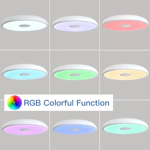 Smart Waterproof LED Flush Mount Ceiling Light Fixture with Bluetooth Speaker — Desk Lamp, ASALL
