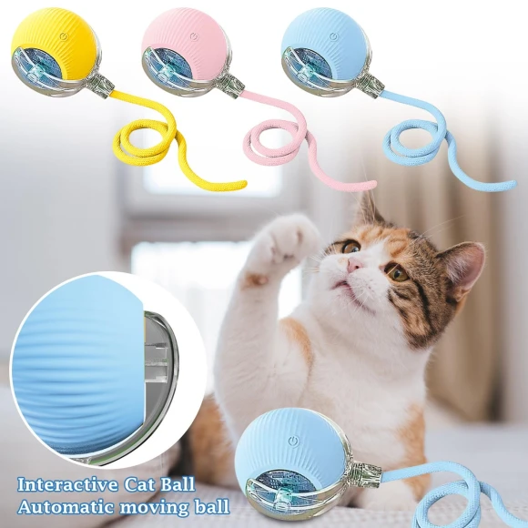 Interactive Rolling Ball Toy for Cats and Dogs — Automatic Cat Toy, Winnerer Sun
