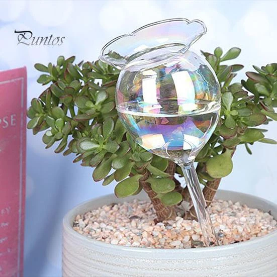 Glass Plant Waterer, Beautiful Garden