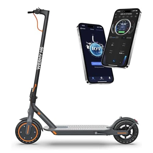 Foldable Electric Scooter — Electric Scooter, WERHY