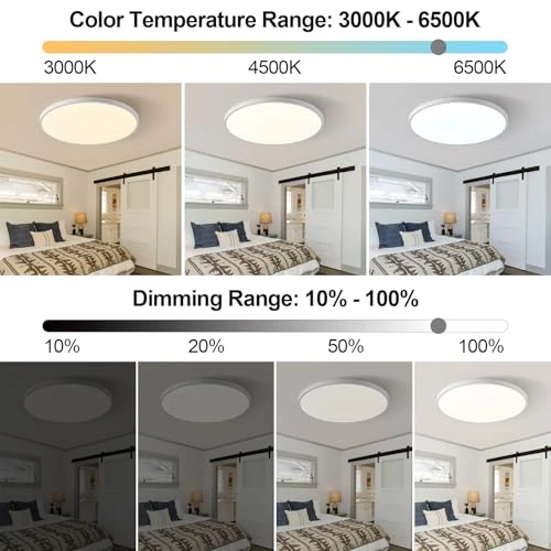 Smart Ceiling Light with Remote Control — Smart Light Bulb, HENTAG