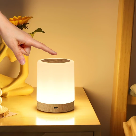 LED Touch Night Light, Great3C
