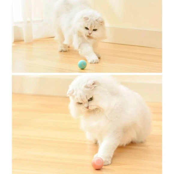 Smart Gravity Teaser Cat Rolling Ball - Teeth Resistant Cat Toy — Automatic Cat Toy