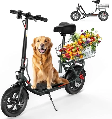 Electric Scooter with Seat — Electric Scooter, SISIGAD