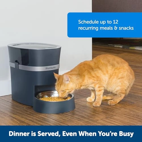 Electronic Pet Feeder — Automatic Pet Feeder, PetSafe