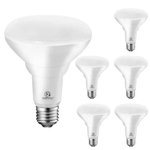 6-Pack LED Recessed Light Bulb, ENERGETIC SMARTER LIGHTING
