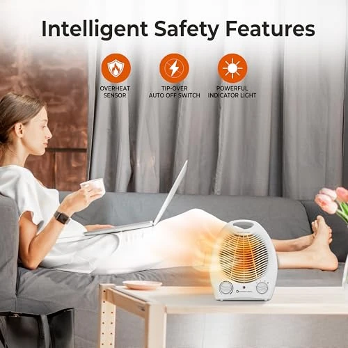 Electric Fan-Forced Portable Space Heater, Comfort Zone