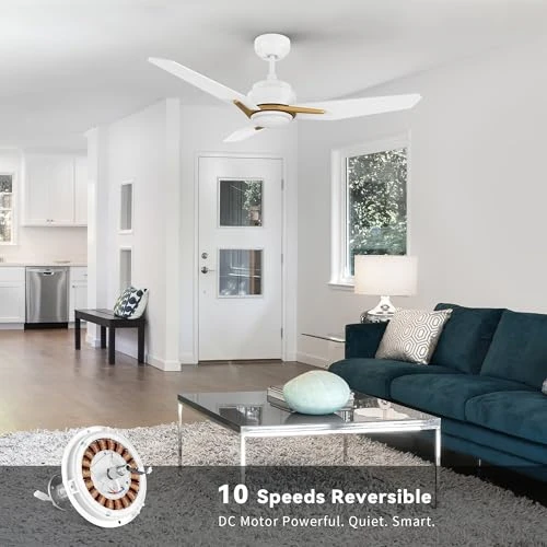 Smart Ceiling Fan with Lights Flush Mount — Smart Fan, SMAFAN