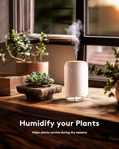 Small Humidifier — Humidifier, SMARTDEVIL