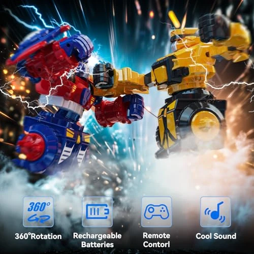 Boxing Robots, Holyton