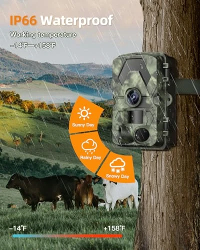 Trail Camera, EBXDW