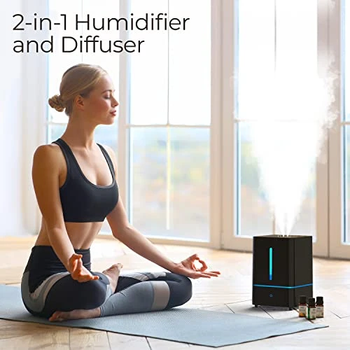 Cool Mist Humidifier, Everlasting Comfort