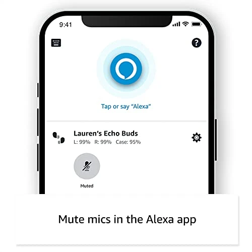 True Wireless Earbuds, Amazon