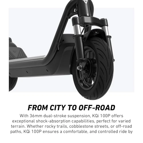 Electric Scooter with Suspension, NIU