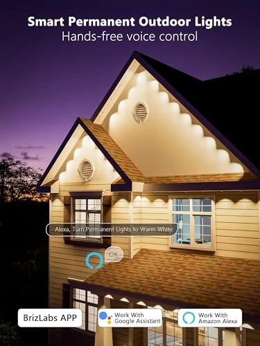 Permanent Outdoor Lights, BrizLabs