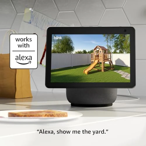 Wireless Outdoor Security Camera — Security Camera, Blink