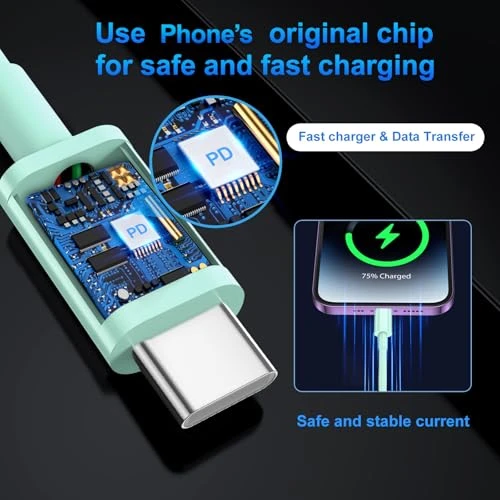 USB C Wall Charger with 3-Pack 10-Foot Cables, Dayaoncy