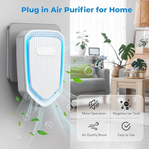 Negative Ion Air Purifier