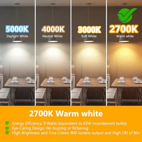 12 Pack BR30 LED Bulbs — Smart Light Bulb, dalattin