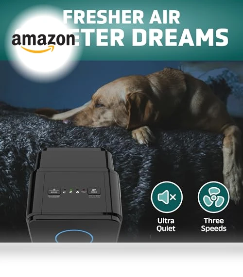 5-In-1 HEPA Air Purifier for Home — Activated Carbon Air Purifiers, GermGuardian