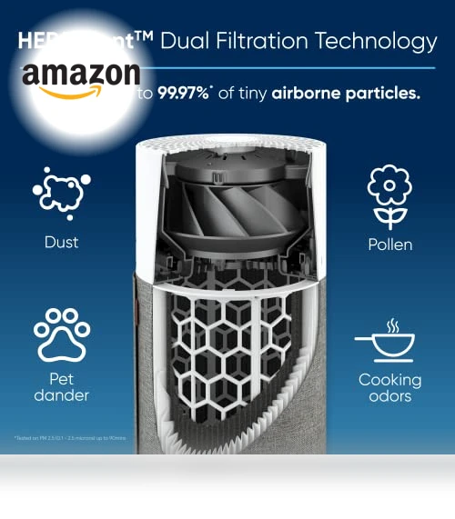 Air Purifier — Activated Carbon Air Purifiers, BLUEAIR