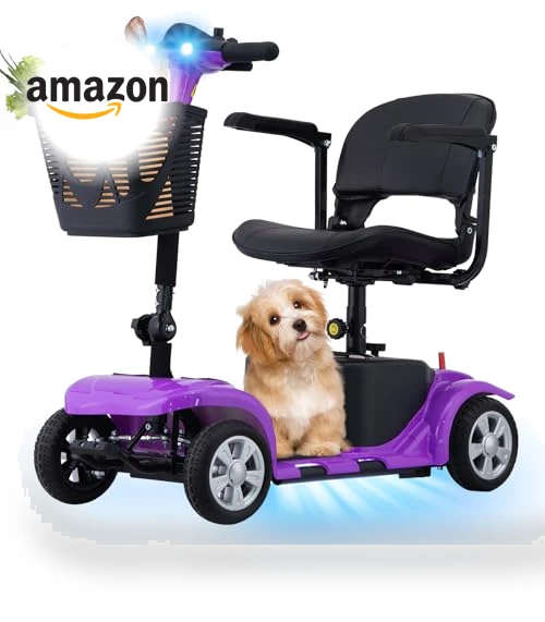 Mobility Scooter for Adults — Electric Self-Balancing Scooters, SUNDERWELL