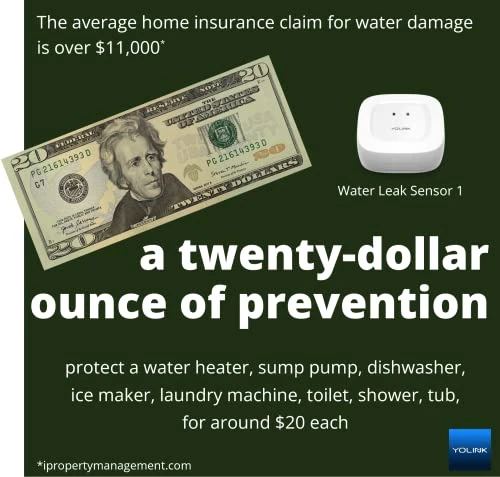 Smart Home Starter Kit: Hub & Water Leak Sensors, YoSmart