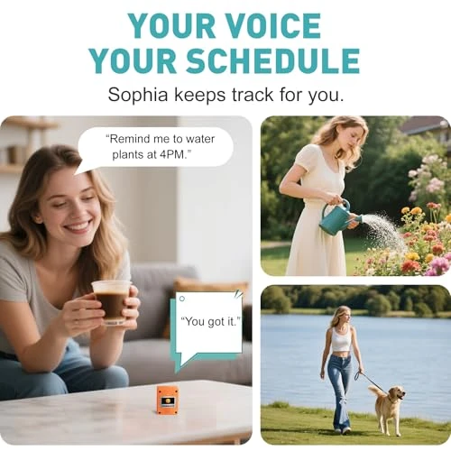 Deepseek Smart AI Robot Box — Robot Pet, maleous