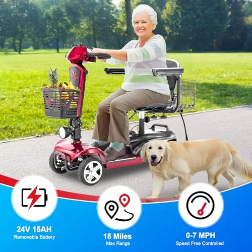 Electric Mobility Scooter — Electric Scooter, Eldryvon