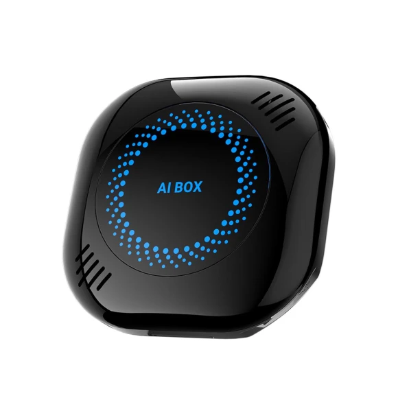 Wireless Carplay Box — Car Infotainment System, Rustic Elegance House