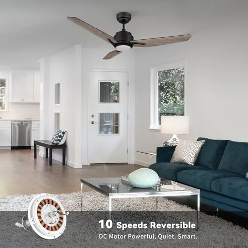 Smart Ceiling Fan with Lights — Smart Fan, SMAFAN