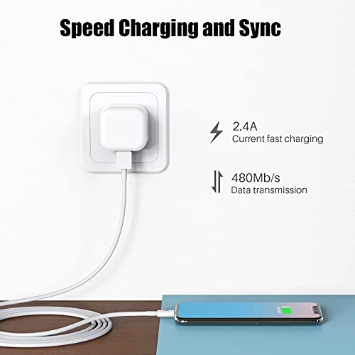 Lightning to USB Charging Cable, PGQBS