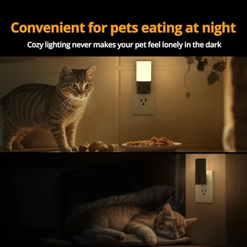 Plug-in LED Rotatable Night Light with Motion Sensor, Lyridz