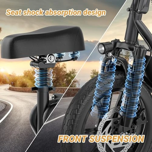 Electric Scooter, Roinside