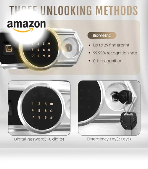 Biometric Safe Box with Smart Touch Screen — Cabinet Safes, SAPITAL
