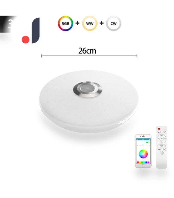 RGB Ceiling Light — Overhead Lighting, Rainbow Rain