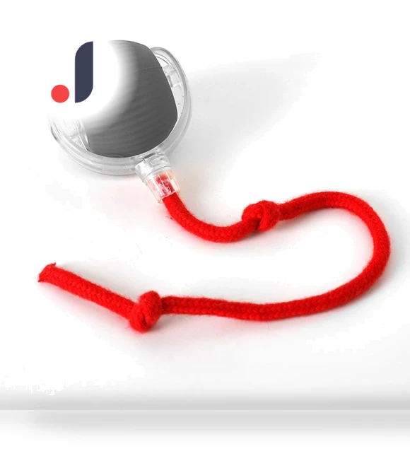 Interactive Cat Toy — Cat Playthings, Hungry Heart