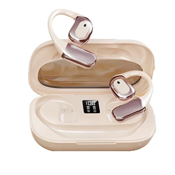 Intelligent Translator Earbuds, Come againye