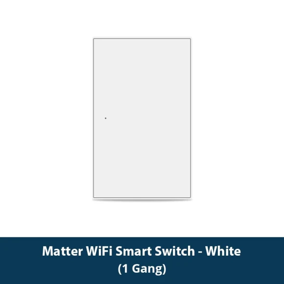 Smart Wall Light Switch — Smart Switch, Zemismart