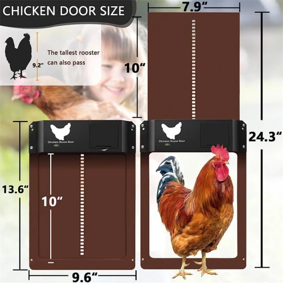 Automatic Chicken Coop Door Opener, Rainbow Rain