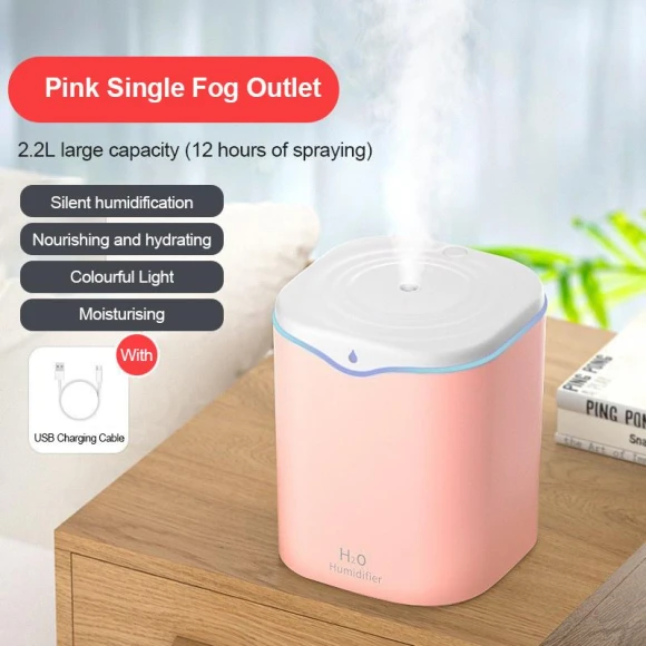 Double Air Humidifier with Spray — Air Moisturizers, Leisury