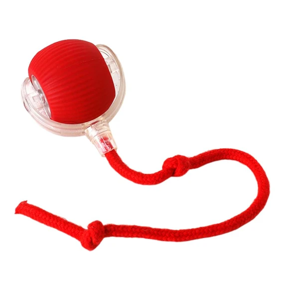 Automatic Rolling Ball Pet Toy — Cat Playthings, 888 Auto Parts Town