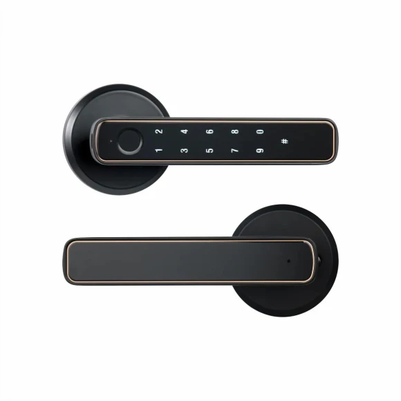 Smart Fingerprint Door Lock — Smart Lock, Super Dream Home