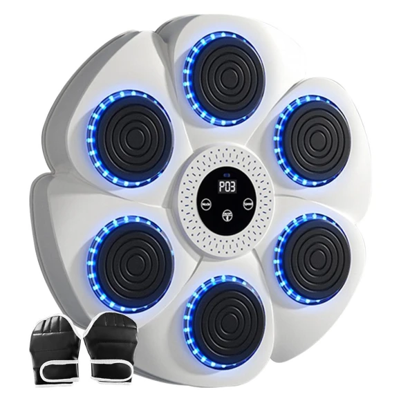 Smart Musical Boxing Trainer — Boxing Training Gear, Super Star Mall