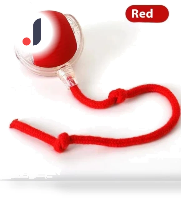 Rechargeable Interactive Pet Toy Ball — Cat Playthings, Xiao Home