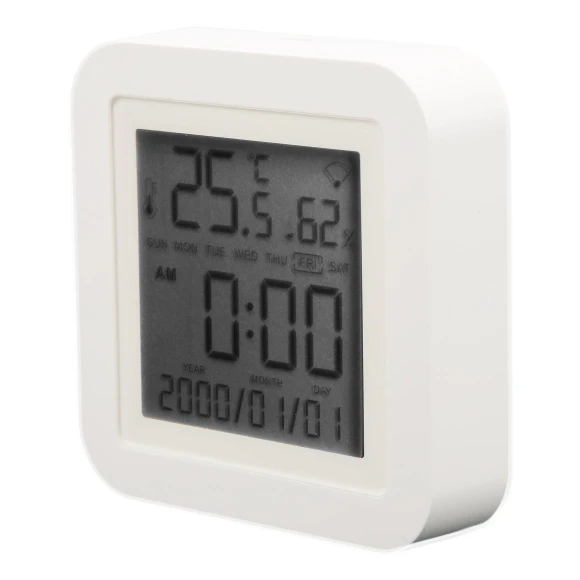 WIFI Smart Thermometer Hygrometer, Fishine