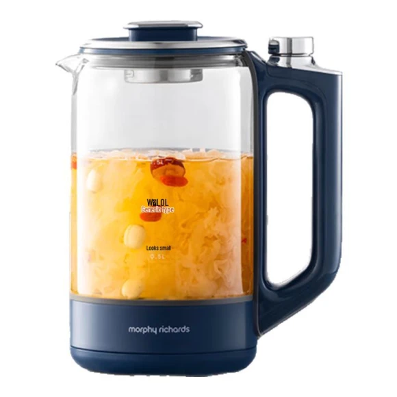 Smart Glass Health Kettle — Electric Kettle, Morphy Richards